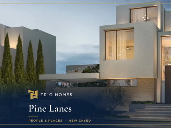 Villa facades with cypress trees at Pine Lanes New Sheikh Zayed